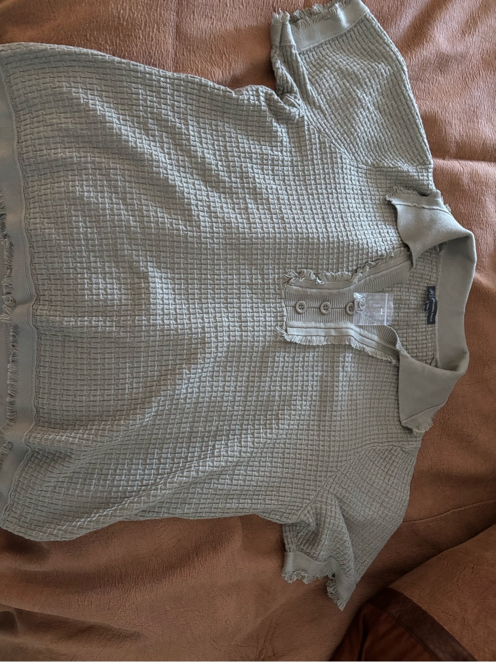 Adrianna Papell Light Sage Green Textured Polo Top